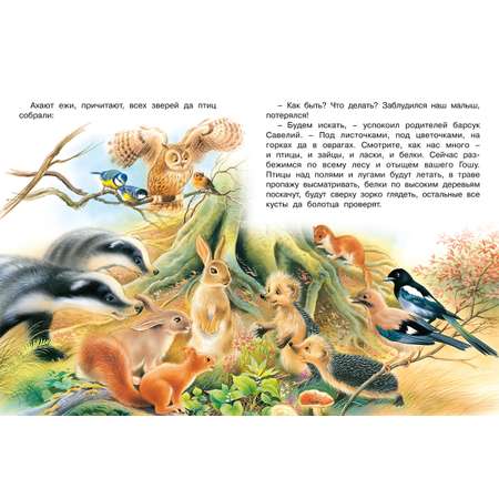 Детская книга Фламинго Сказки для малышей добрые поучительные истории Лесной переполох