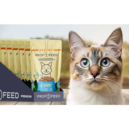 Корм консервированный для кошек пауч Profifeed с гиндейкой в соусе 75 г 28 шт