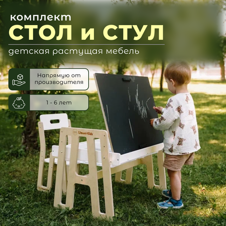 Комплект детской мебели Limoni-Kids Растущий стульчик и столик с грифельной доской и контейнерами