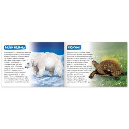 Обучающая книга Буква-ленд «Животные-рекордсмены» 20 страниц