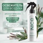 Освежитель для дома NICE by Septivit Formula 02 300мл