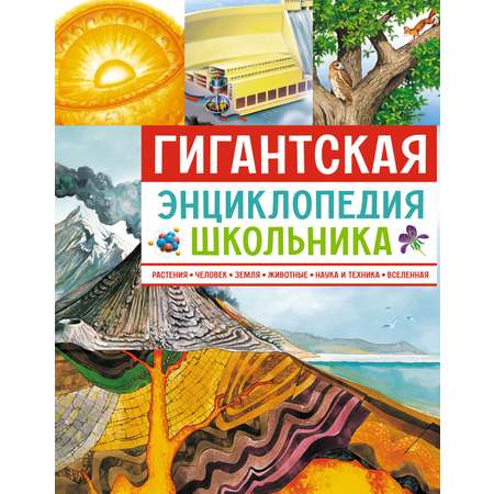 Книга Махаон Гигантская энциклопедия школьника