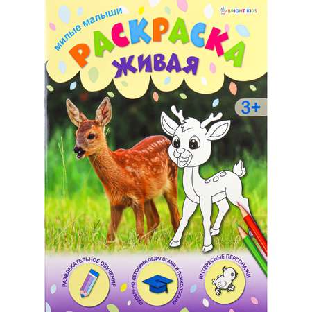 Раскраска А4 Bright Kids милые малыши 8 листов 198х260