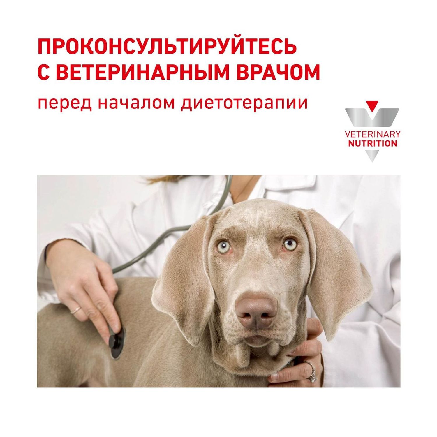 Сухой корм для собак ROYAL CANIN Sensitivity control 7 кг утка (при аллергии и заболеваниях кожи, лечебный) - фото 8