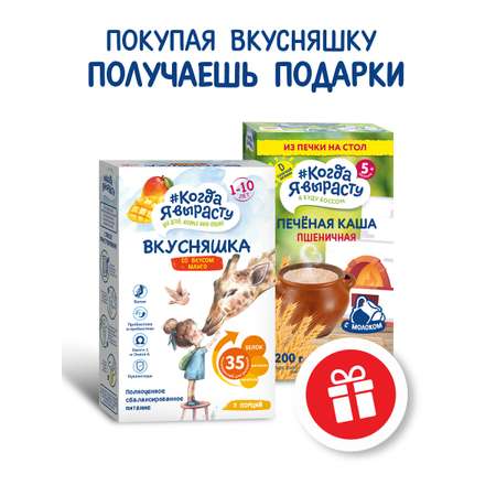 Смесь сухая Когда Я вырасту ВКУСНЯШКА от 1 года манго 300г и КОГДА Я ВЫРАСТУ Каша печёная пшеничная с 5 мес 200гр