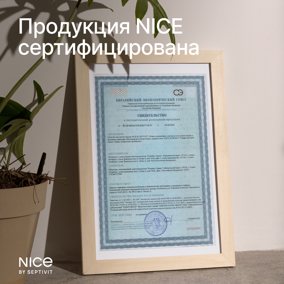 Средство для мытья посуды NICE by Septivit Зеленый чай 1л - фото 8