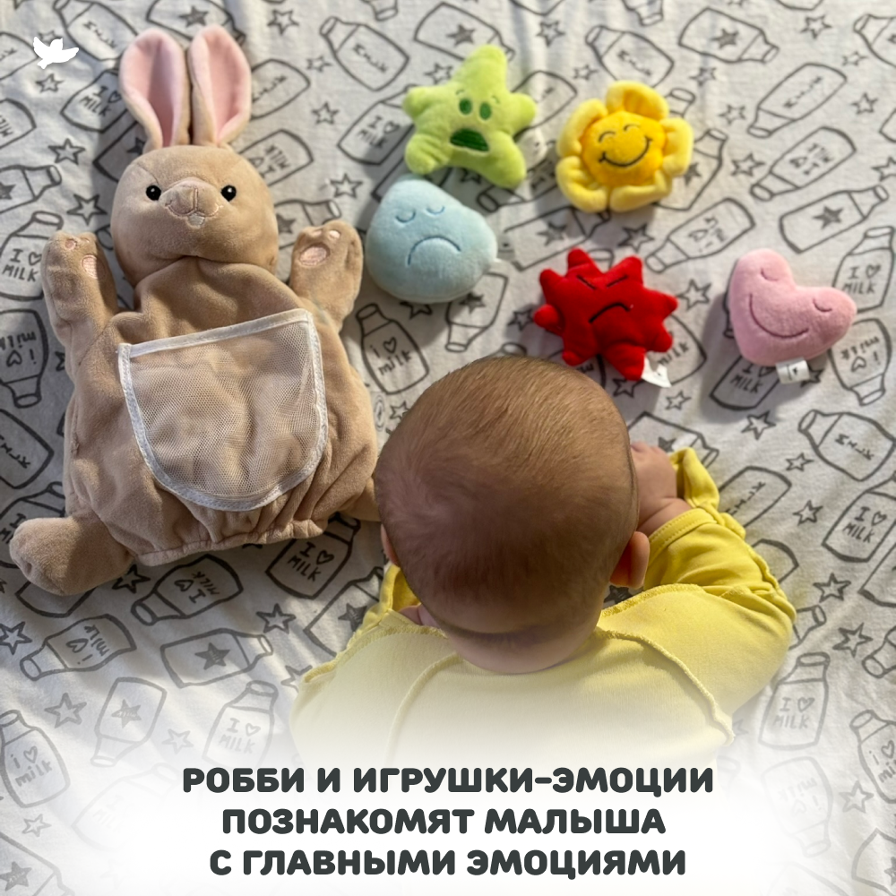 Обучающий набор Умница Крольчонок Робби и 5 игрушек-эмоций со звуком - фото 7