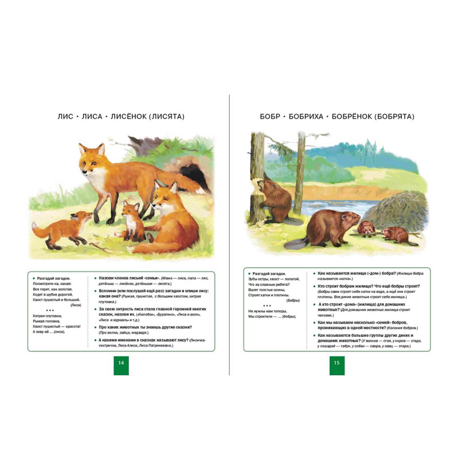 Книга Школьная Книга Мир животных Развитие речи через познание окружающего мира - фото 2