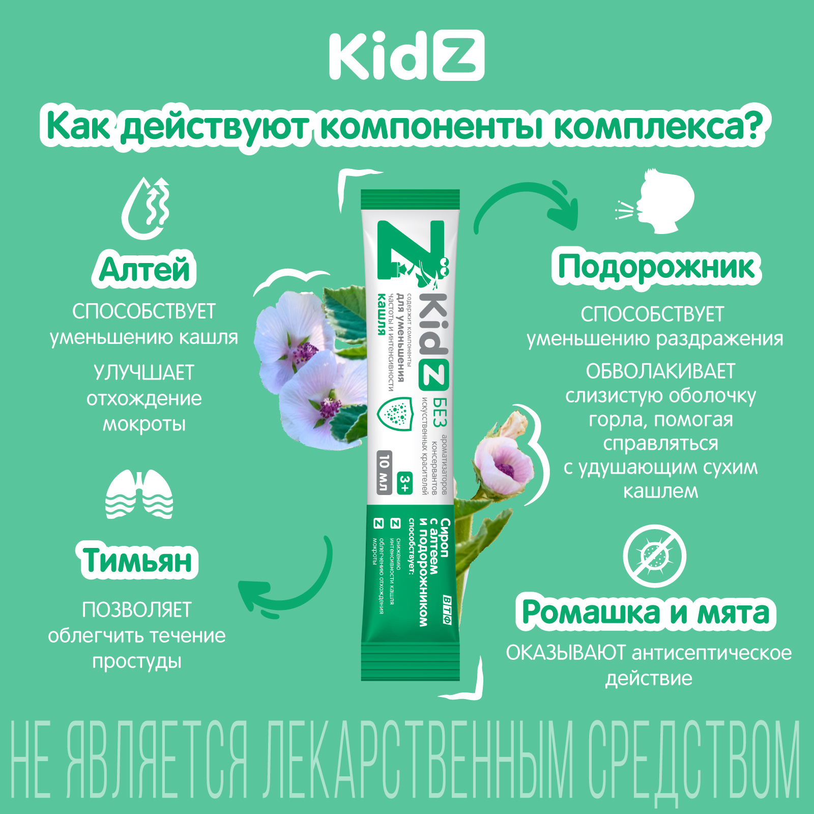 Cироп от кашля Kidz сироп с алтеем и подорожником 10 стиков по 10 мл. - фото 3