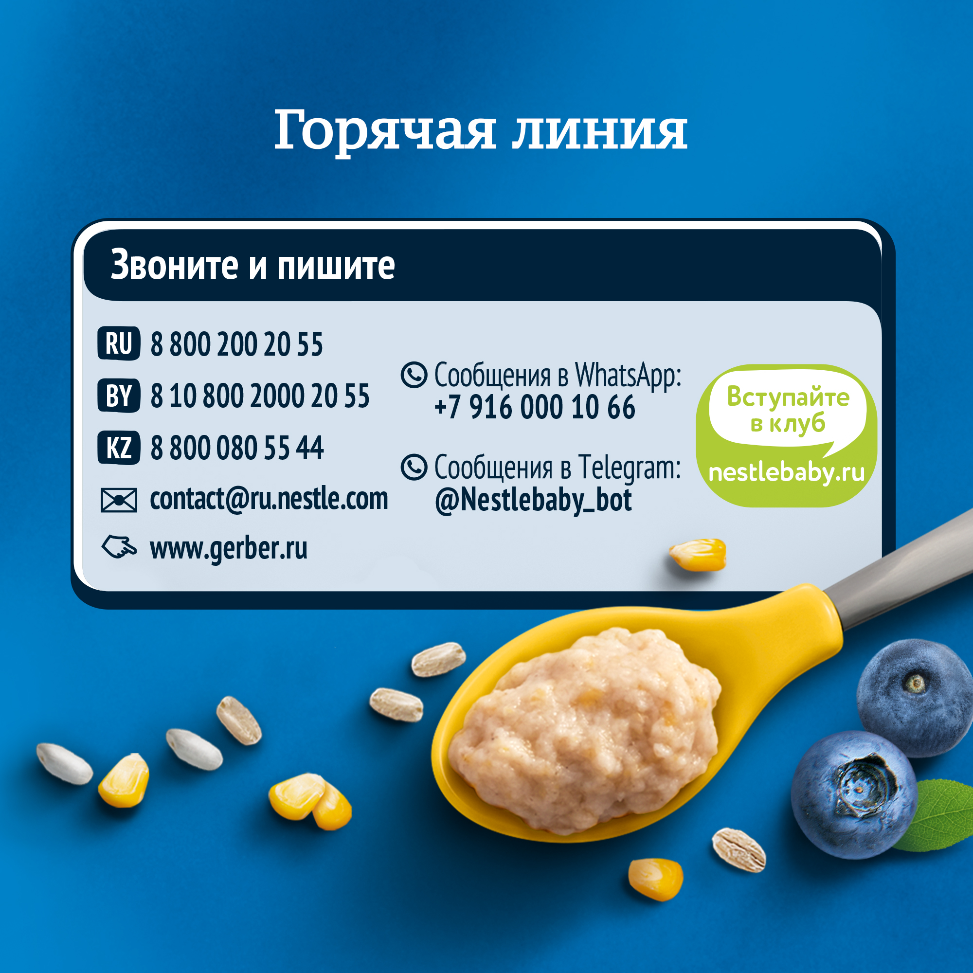 Каша молочная Gerber мультизлаковая с бананом и черникой 180г с 6месяцев  купить по цене 199 ₽ в интернет-магазине Детский мир