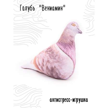 Мягкая игрушка Мягонько голубь Вениамин 25x35 см