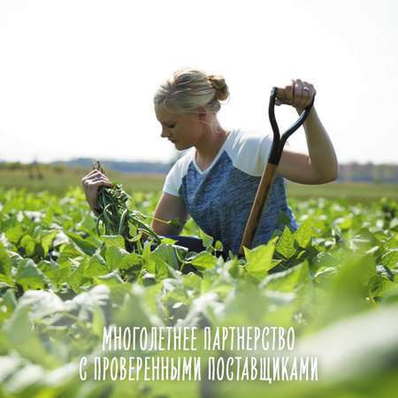 Пюре Gerber яблоко и черника 130г с 6месяцев