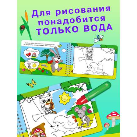 Книга Омега-Пресс Многоразовая раскраска. Рисуем водой. Волшебная книжка-раскраска Лесные животные