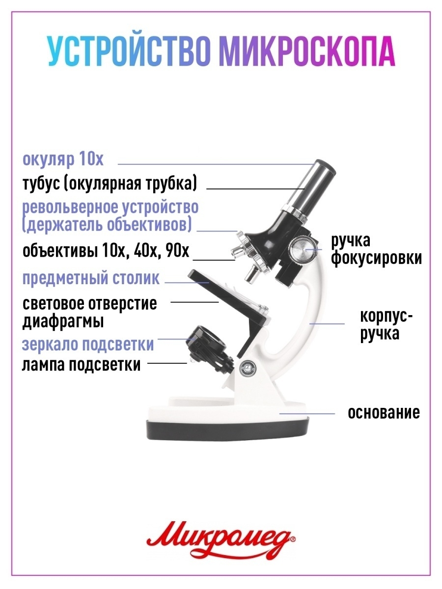 Микроскоп Микромед 100х-900х в кейсе с препаратами и инструментами 52 предмета - фото 8