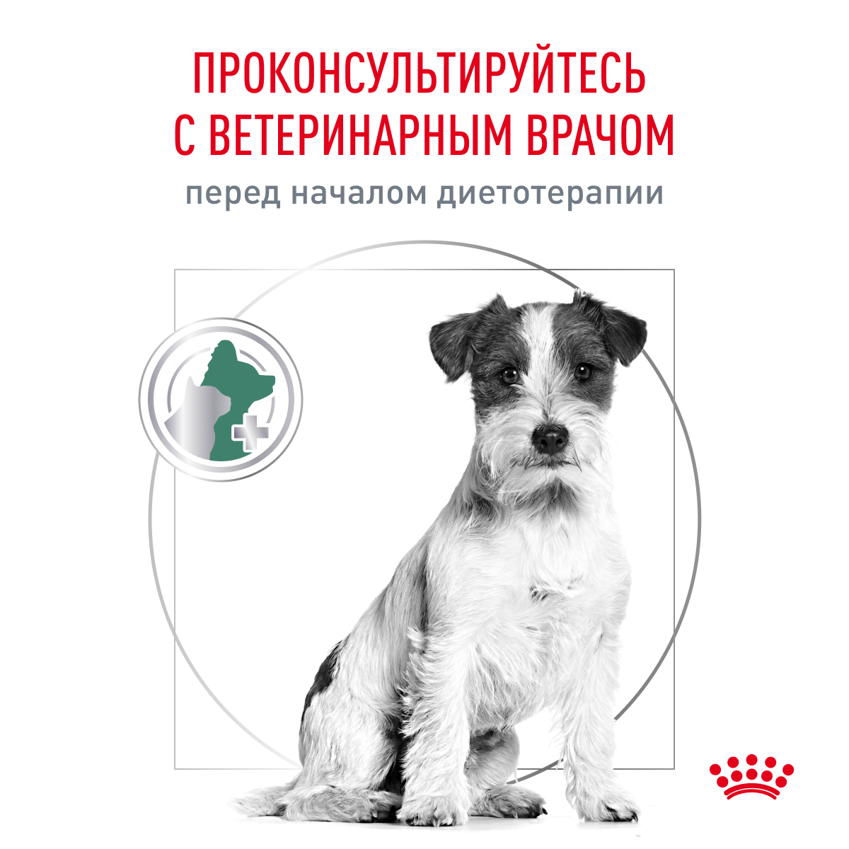 Сухой корм для собак ROYAL CANIN 3 кг (при заболеваниях ЖКТ, лечебный) - фото 9