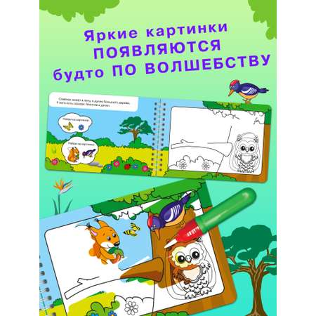 Книга Омега-Пресс Многоразовая раскраска. Рисуем водой. Волшебная книжка-раскраска Лесные животные