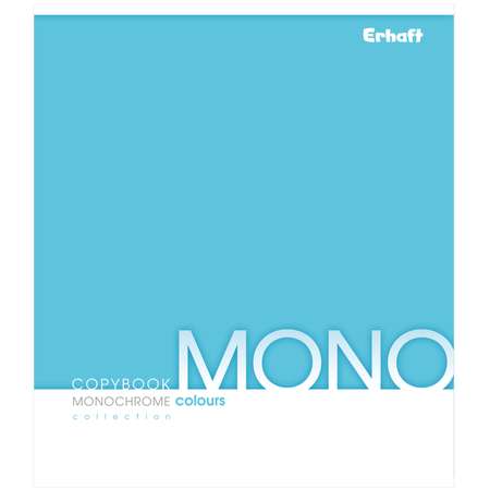 Тетрадь общая Erhaft Mono Клетка 48л Голубая 4823032