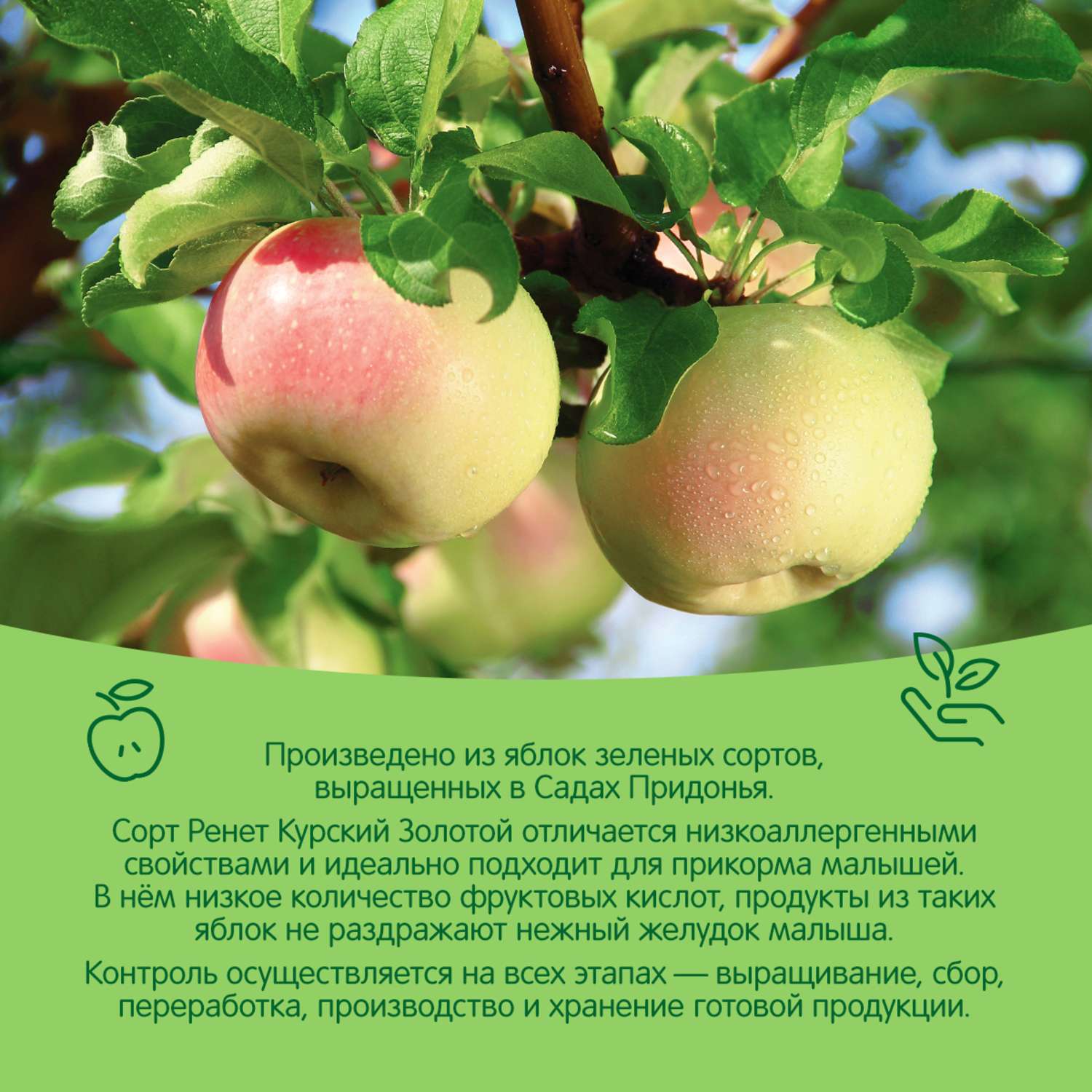 Пюре Сады Придонья яблоко 125г с 4месяцев - фото 4