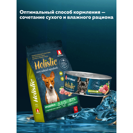 Корм влажный Зоогурман HOLISTIC Цыпленок с горошком и шпинатом, 100 г х 12 шт.