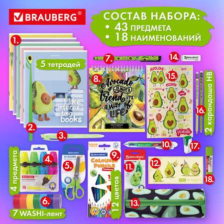 Набор канцелярии Brauberg для школы подарочный Avocado 43 предмета