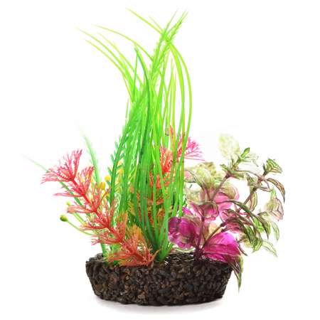 Растение для аквариума FAUNA Композиция-55 FIAD-1301