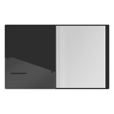 Папка с вкладышами Berlingo DoubleBlack 24 мм 600 мкм черная с внутренним карманом с рисунком