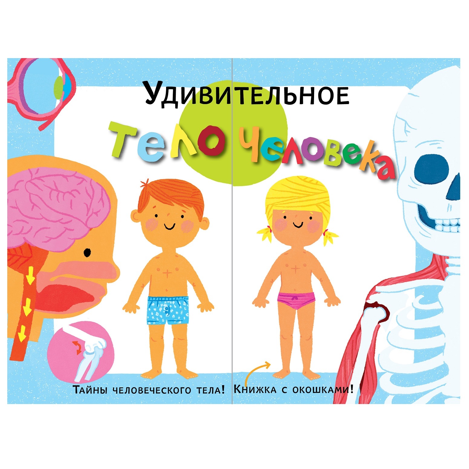 Книга АСТ Удивительное тело человека - фото 1