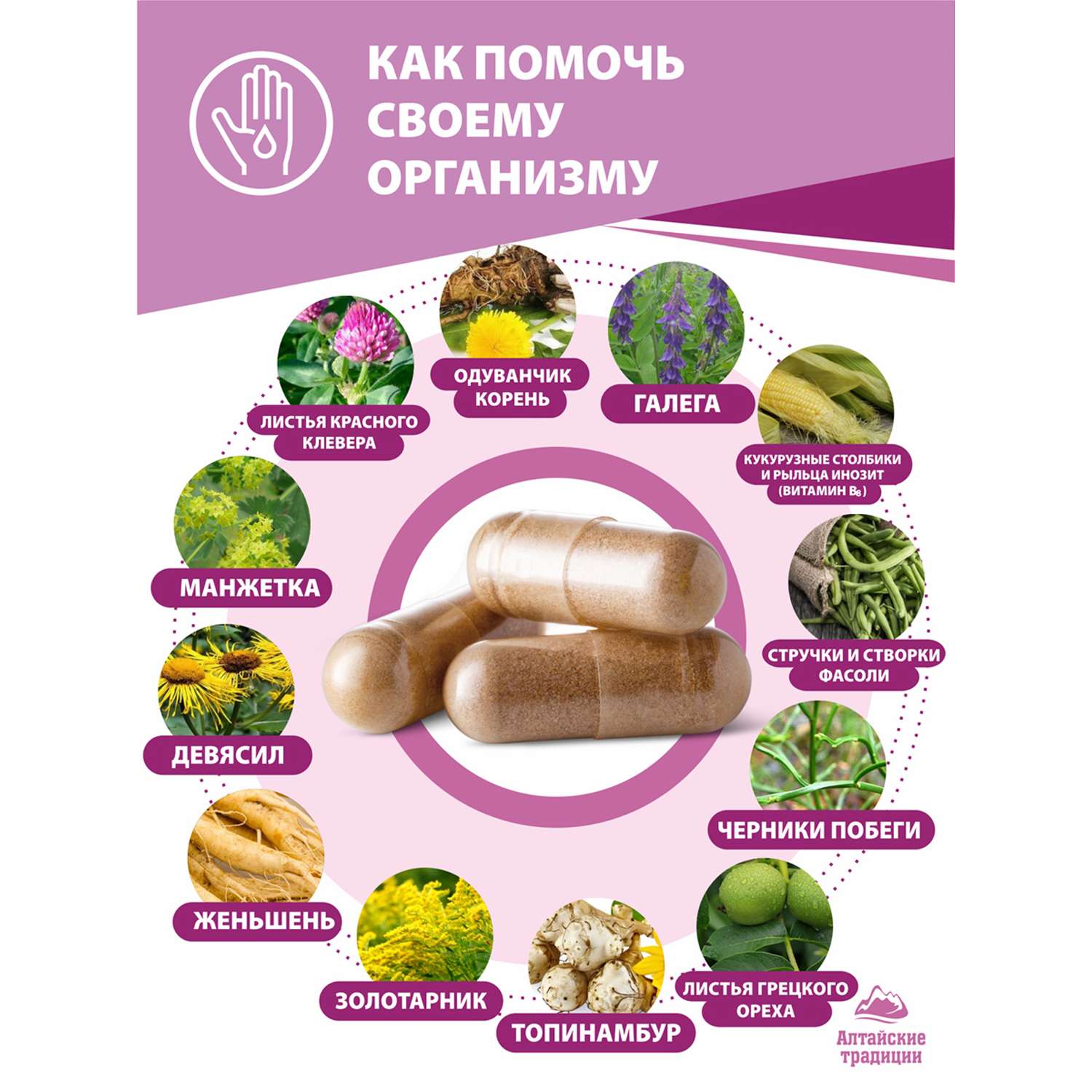 Концентрат пищевой Алтайские традиции Сахарный диабет 60 капсул - фото 7