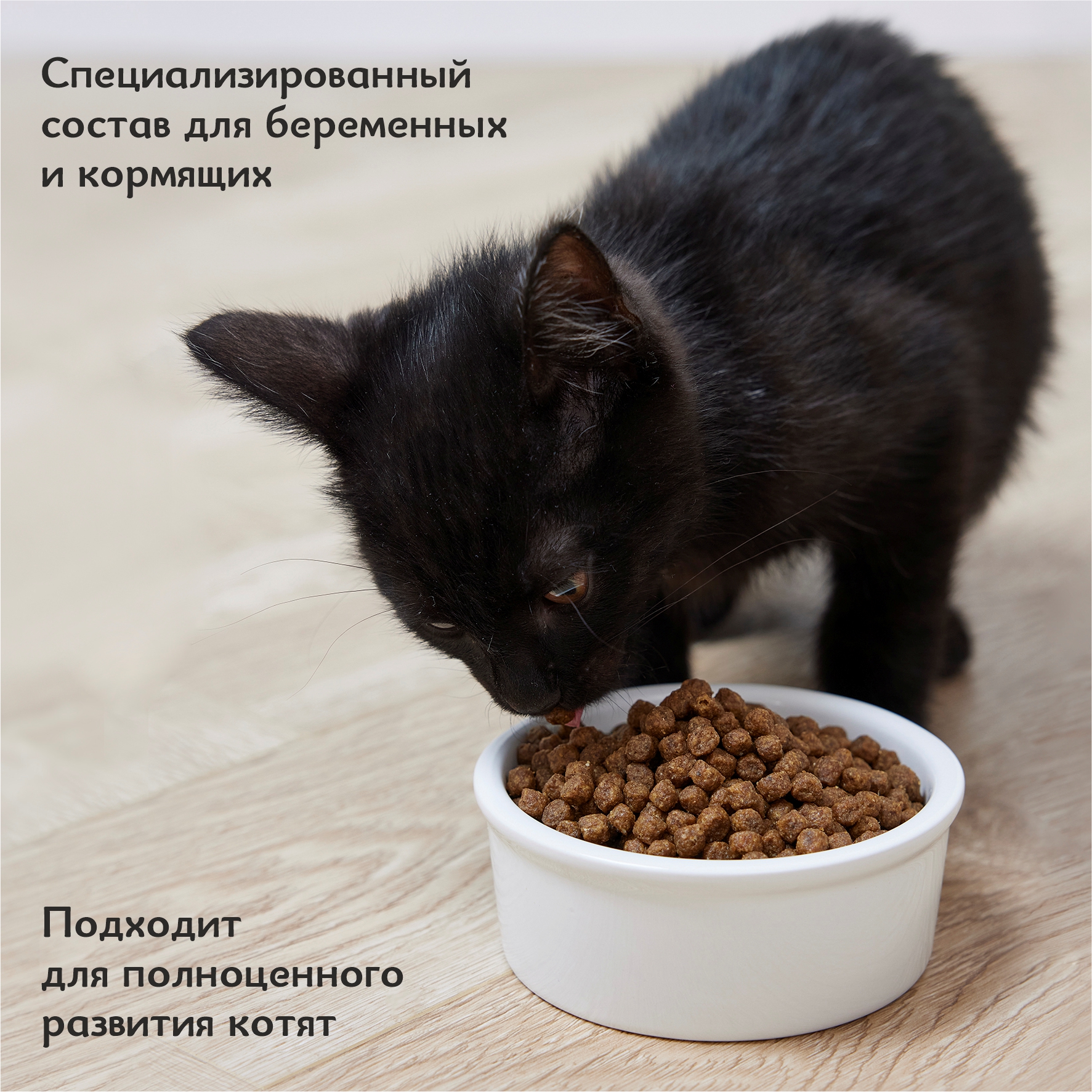 Корм для котят Roybis 1.5кг сухой с курицей полнорационный для активного роста и развития - фото 8