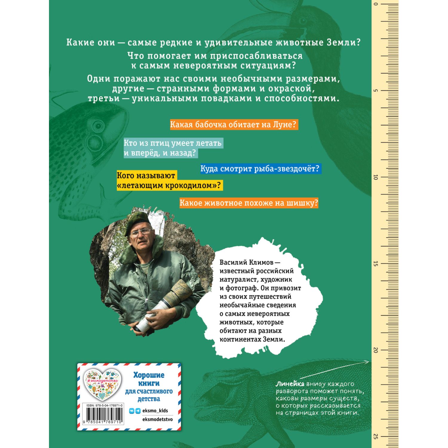 Книга Редкие и удивительные животные нашей планеты Энциклопедия для детей - фото 8