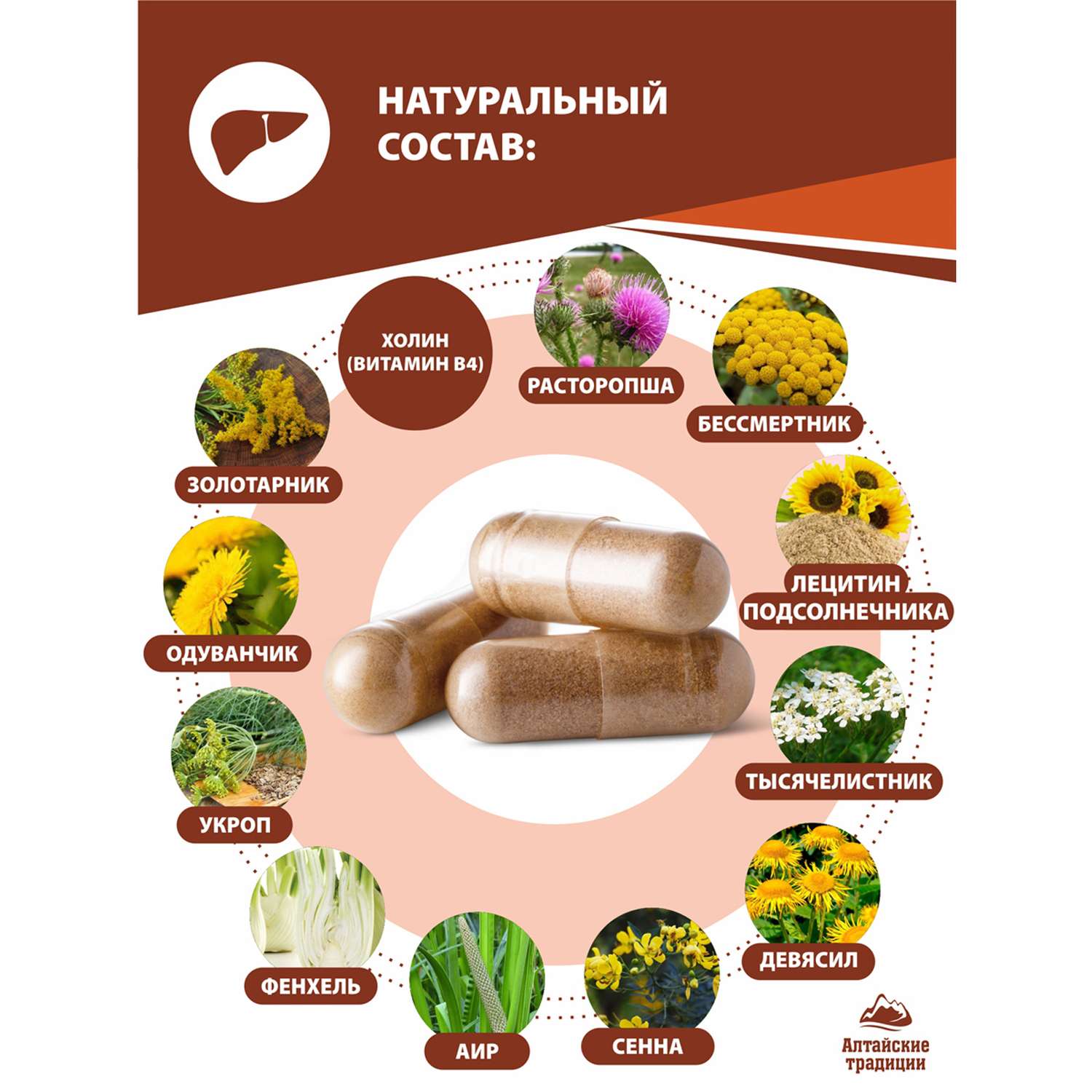 Концентрат пищевой Алтайские традиции Для печени - детокс витамины расторопша холин очищение печени 60 капсул - фото 4