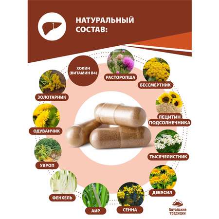 Концентрат пищевой Алтайские традиции Для печени - детокс витамины расторопша холин очищение печени 60 капсул