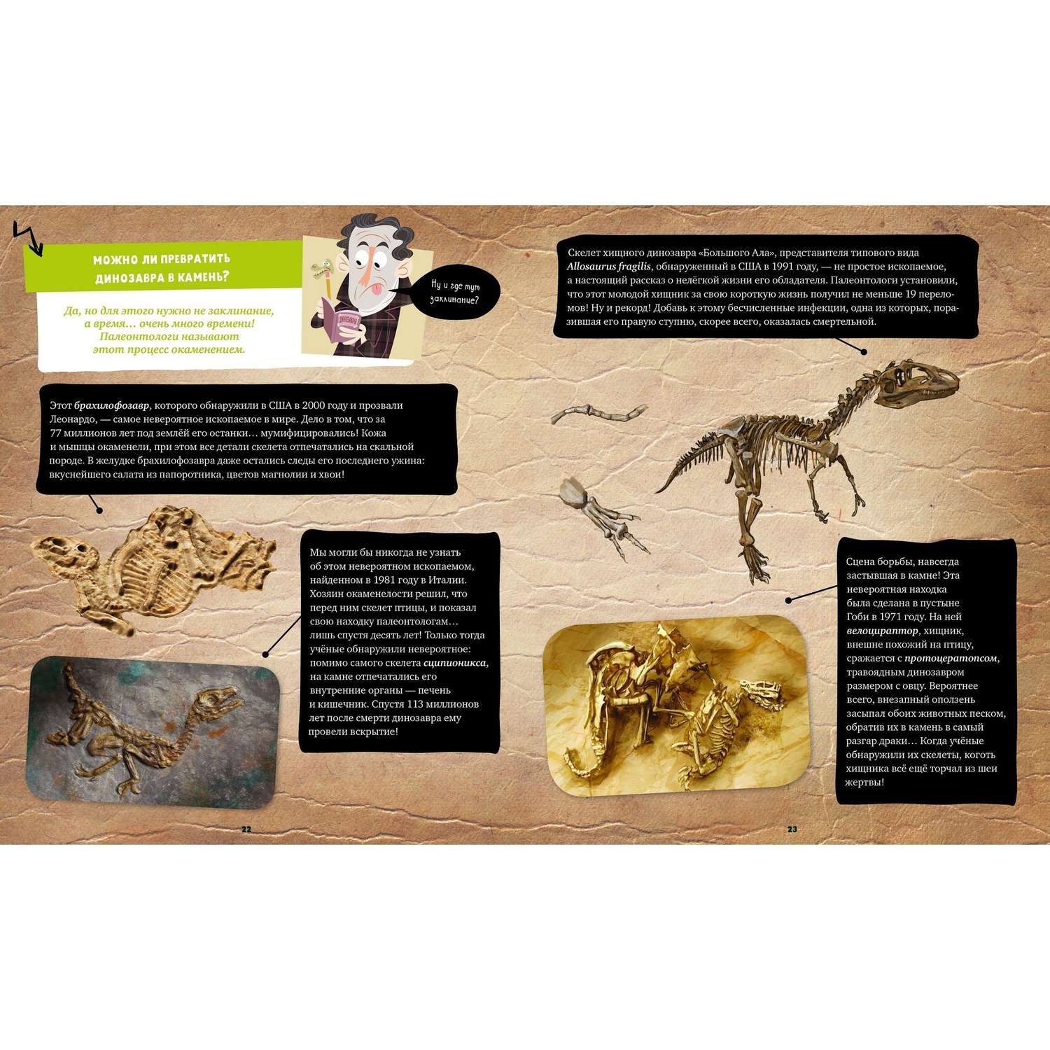 Книга Clever Мой первый школьный проект 50 невероятных вопросов про динозавров - фото 3
