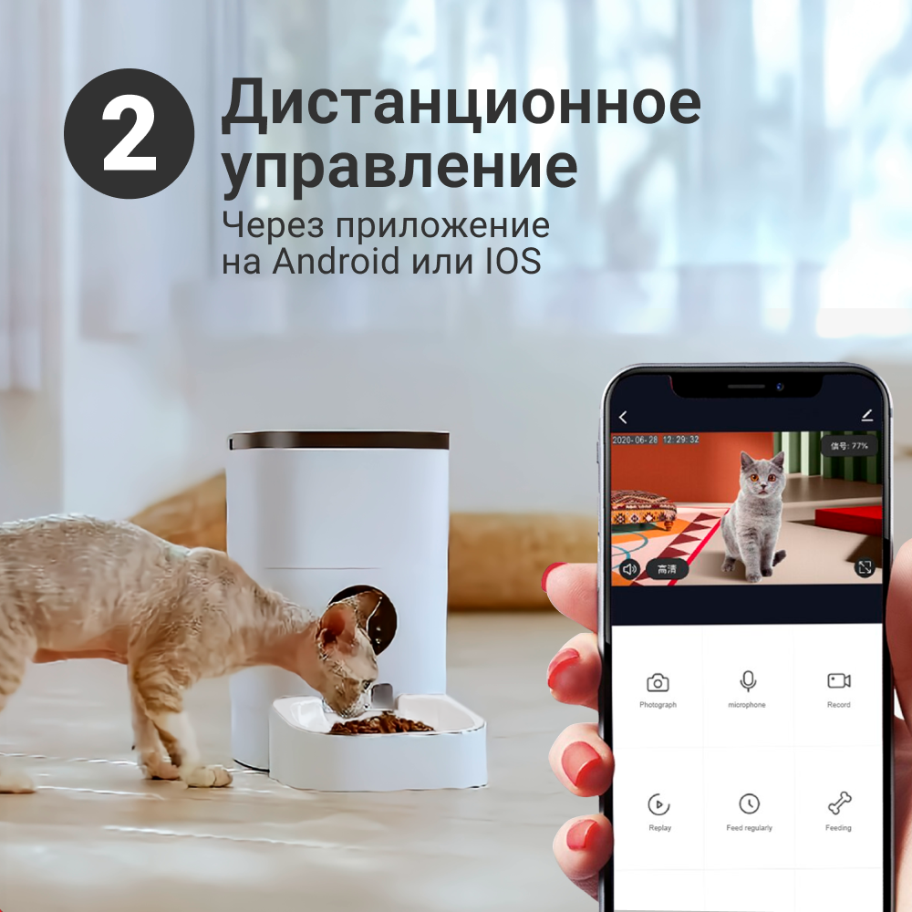 Кормушка ZDK для кошек и небольших собак с WI-FI камерой и записью голоса 6  литров ZOOWELL