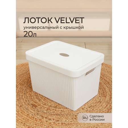 Лоток Econova с крышкой Velvet 38х27х24.9 см 20 л белый