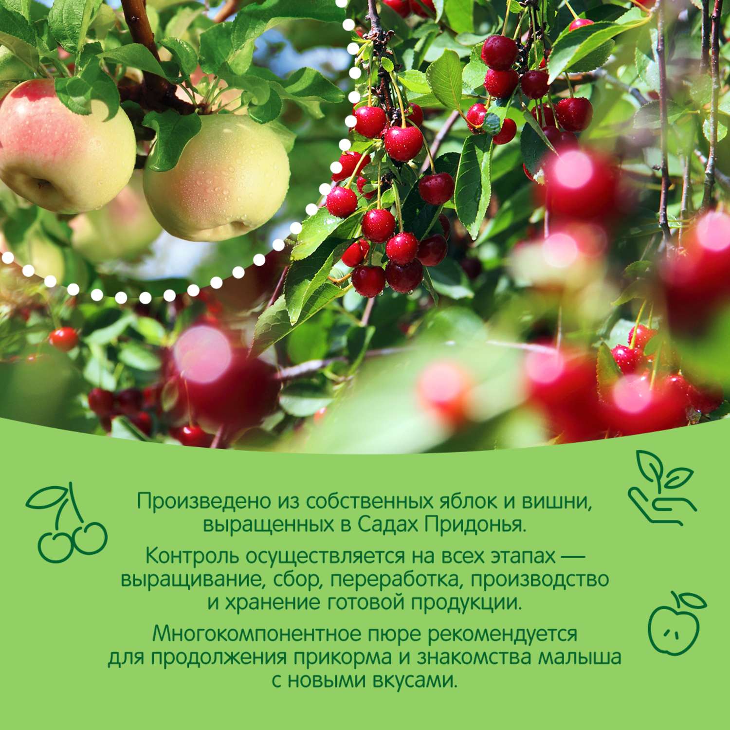 Пюре Сады Придонья яблоко-вишня 125г с 6месяцев - фото 4