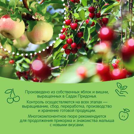 Пюре Сады Придонья яблоко-вишня 125г с 6месяцев