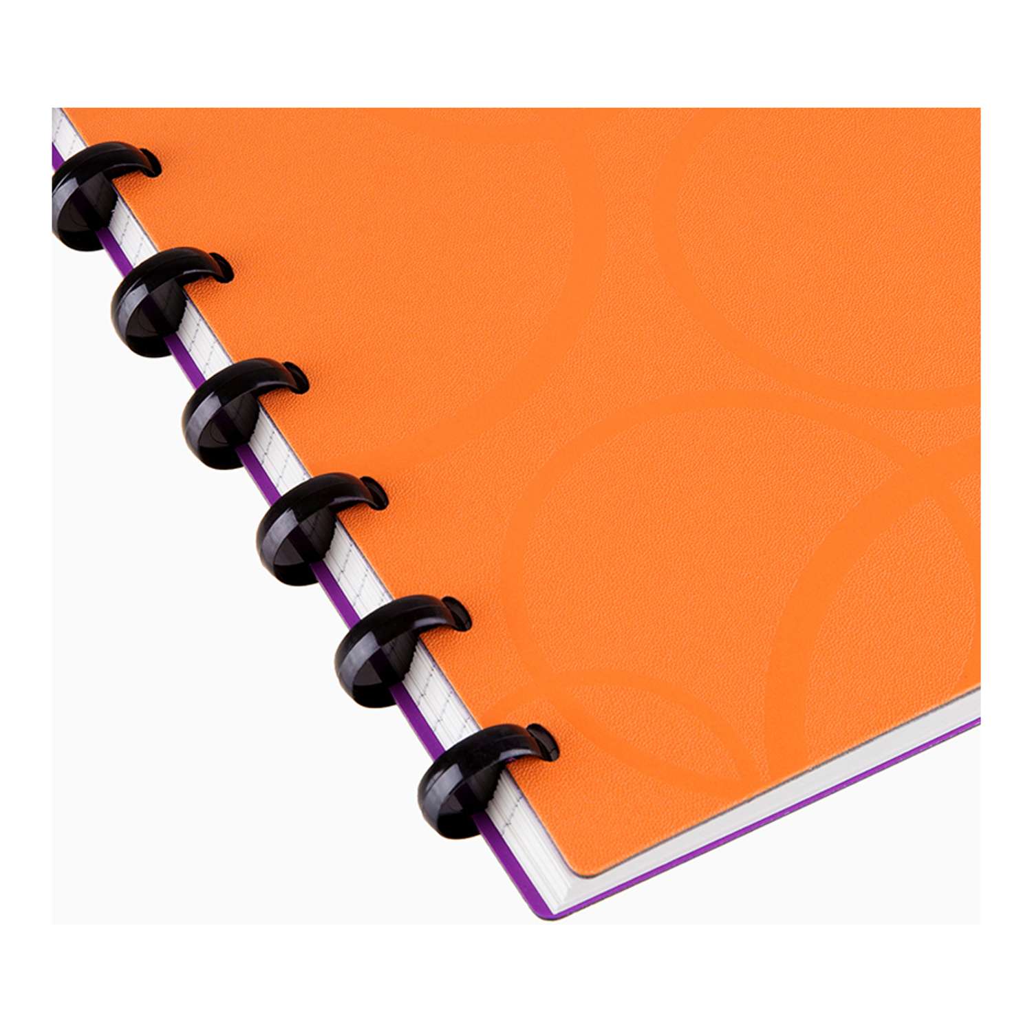 Бизнес-тетрадь Berlingo В5+ 80 листов Eclipse клетка на кольцах с заменой блока пластиковая обложка - фото 3