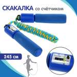 Скакалка гимнастическая Veld Co со счетчиком 245 см