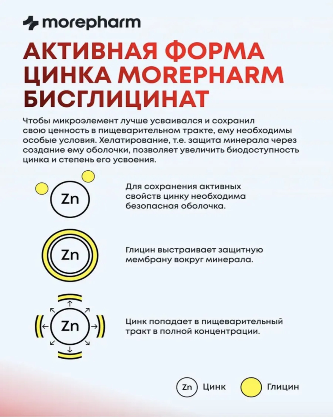 БАД morepharm Цинк хелат для мужчин - фото 11