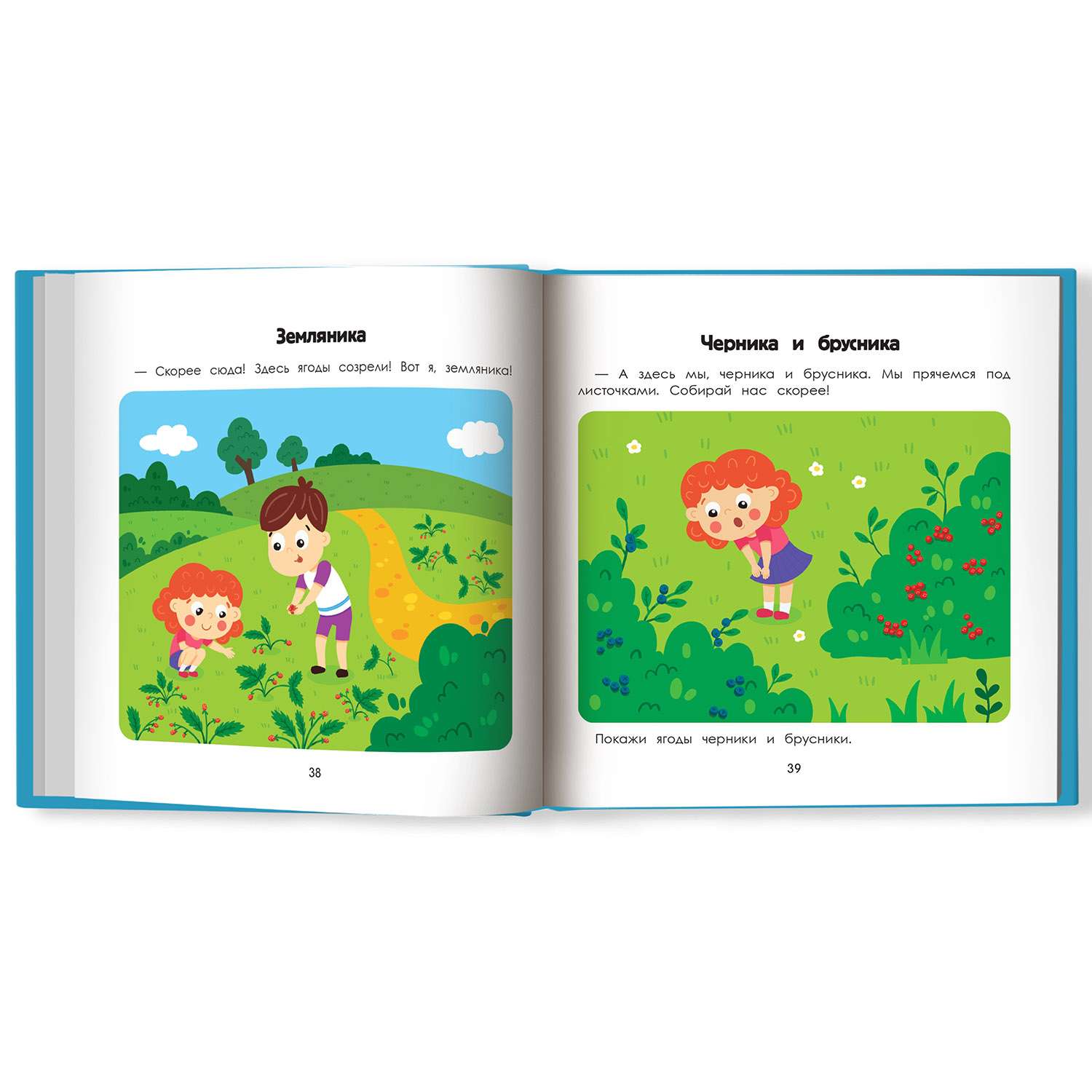 Книга Феникс Премьер Лес. Энциклопедия для малышей в картинках - фото 11