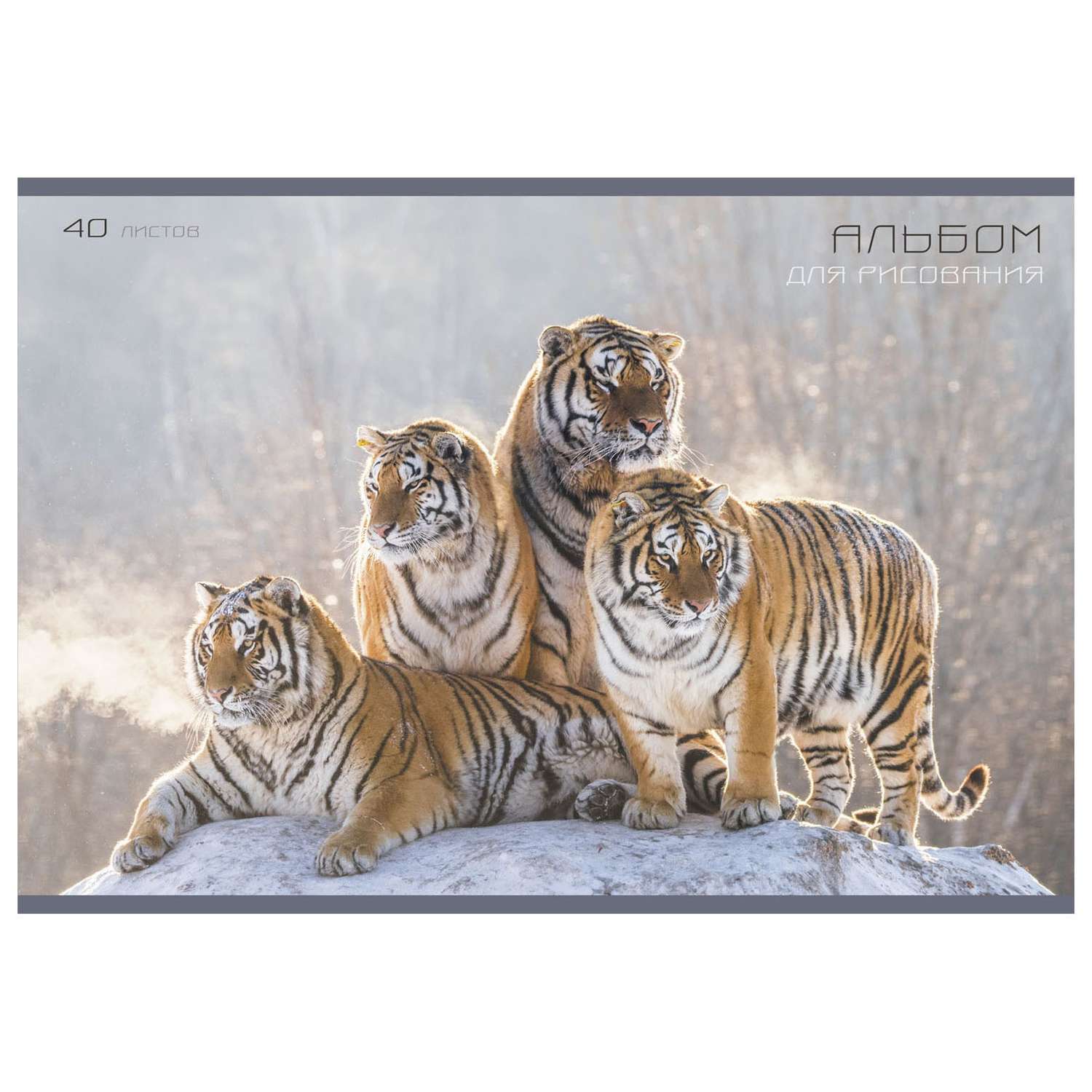 Альбом Unnika land для рисования Грациозные тигры 40л - фото 1