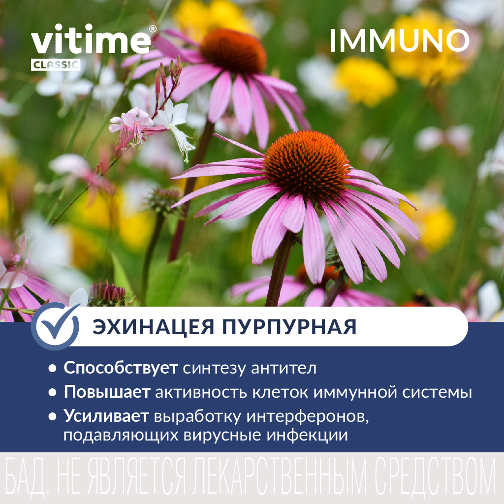 Комплекс для поддержания иммунитета Vitime VITime Classic Иммуно - фото 4
