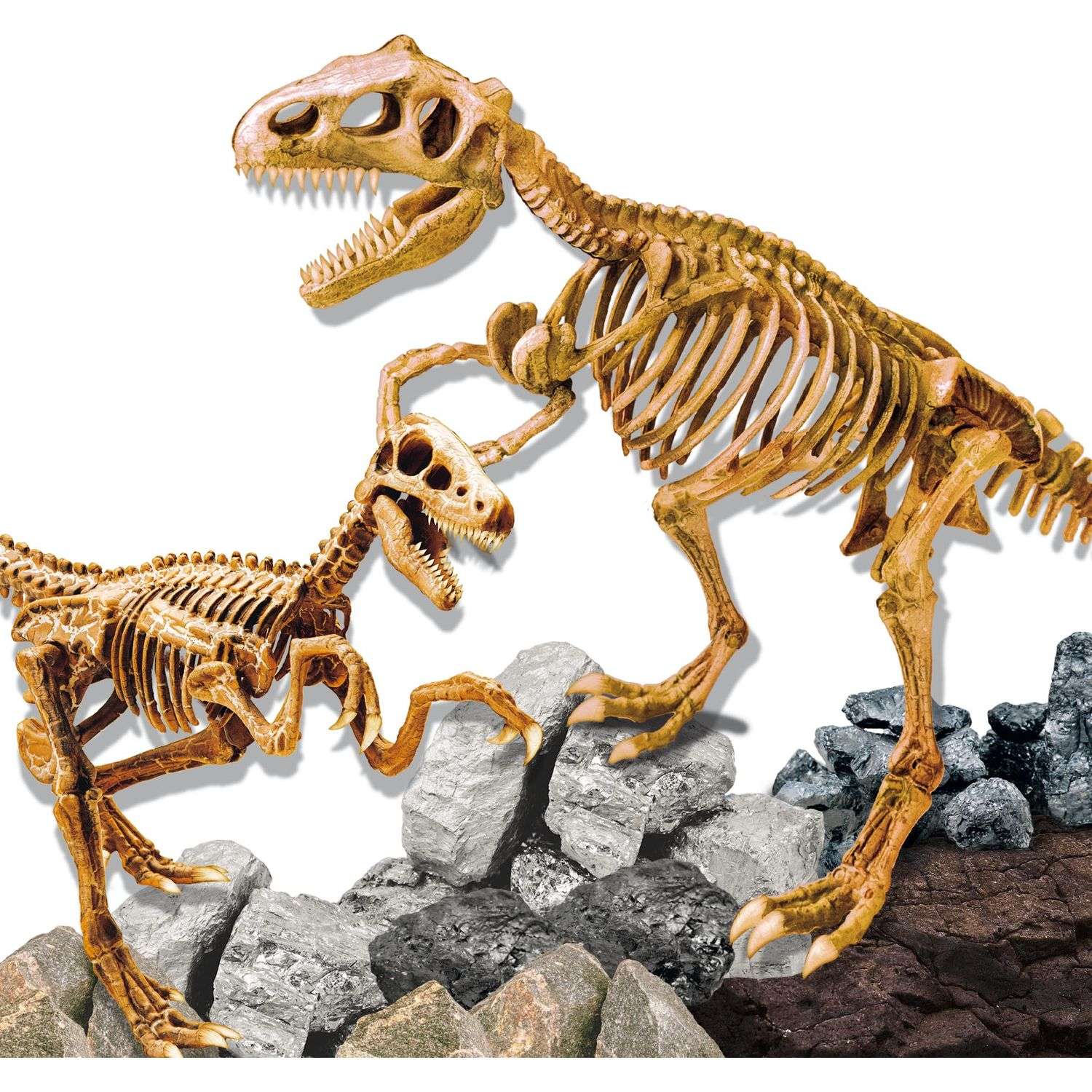 Подарочный набор археолога Lisciani Тираннозавр и Велоцираптор - фото 8