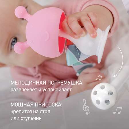 Прорезыватель для зубов ROXY-KIDS Грибочек с держателем в футляре цвет розовый