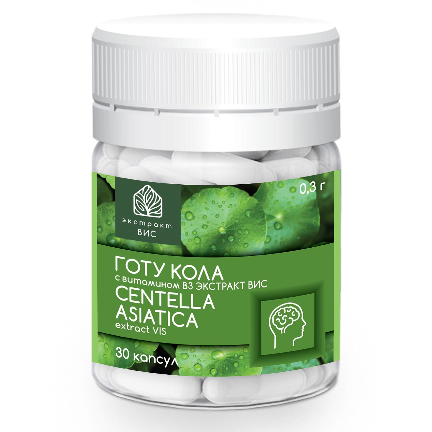 Бады экстракт. Экстракт Готу кола. Центелла азиатская. Брахми Готу кола. Экстракт Готу кола в капсулах для памяти