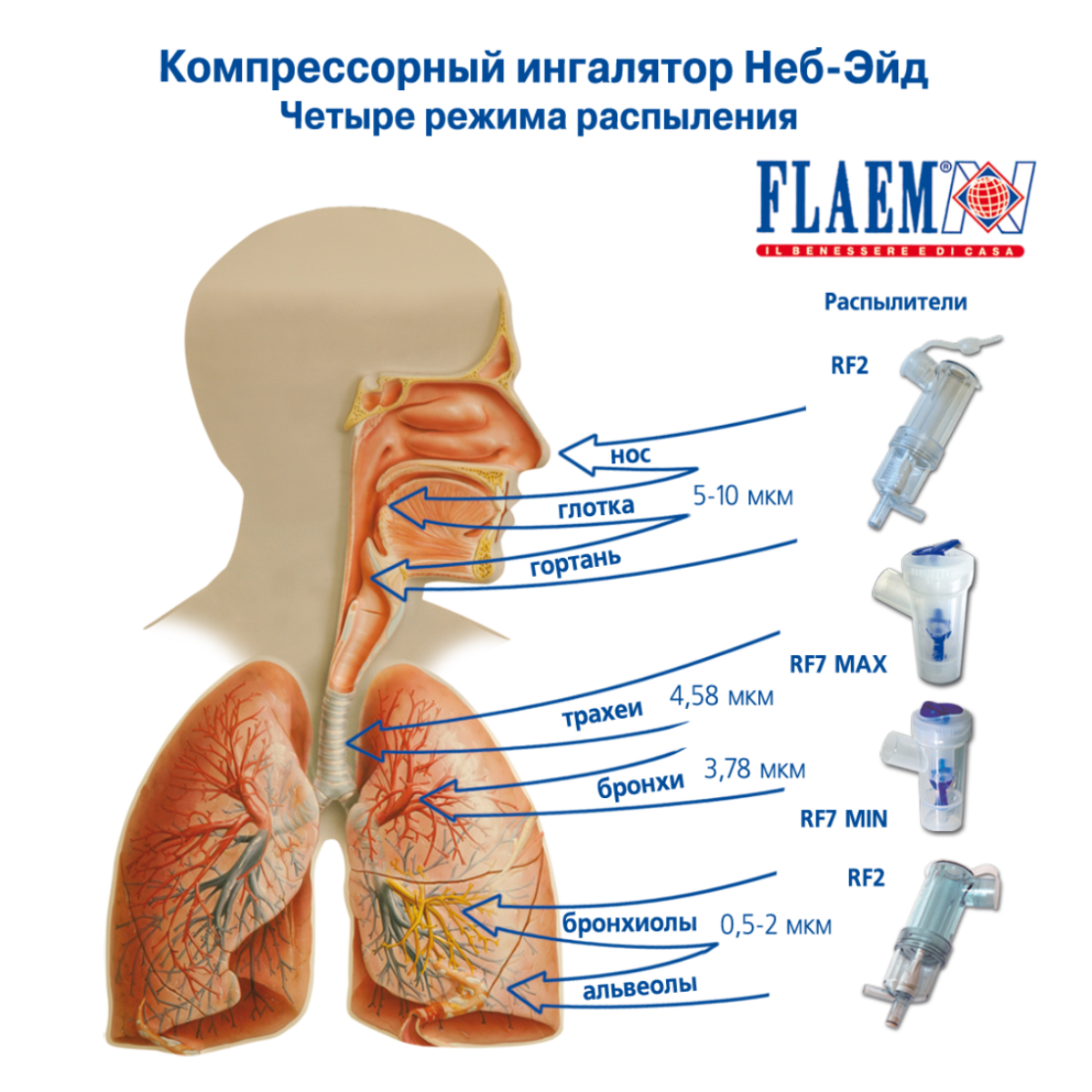 Ингалятор FLAEM NUOVA Компрессорный четырехрежимный Неб-Эйд Италия - фото 4