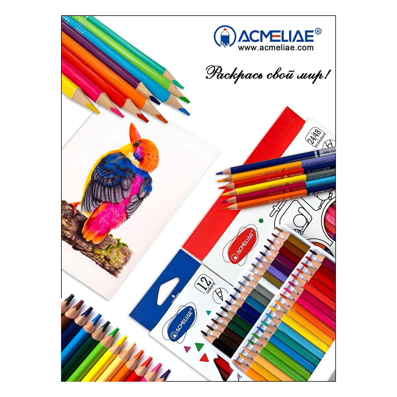 Карандаши цветные ACMELIAE двусторонние трехгранные 24 штуки 48 цветов и точилка в картонном футляре - фото 8