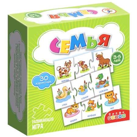 Игра развивающая Дрофа-Медиа Семья 4209