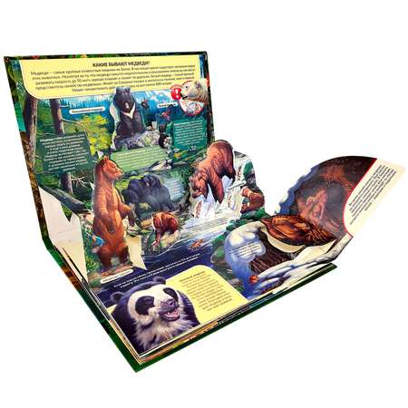 Книга с объемными картинками Malamalama Энциклопедия для детей Животные Хищники